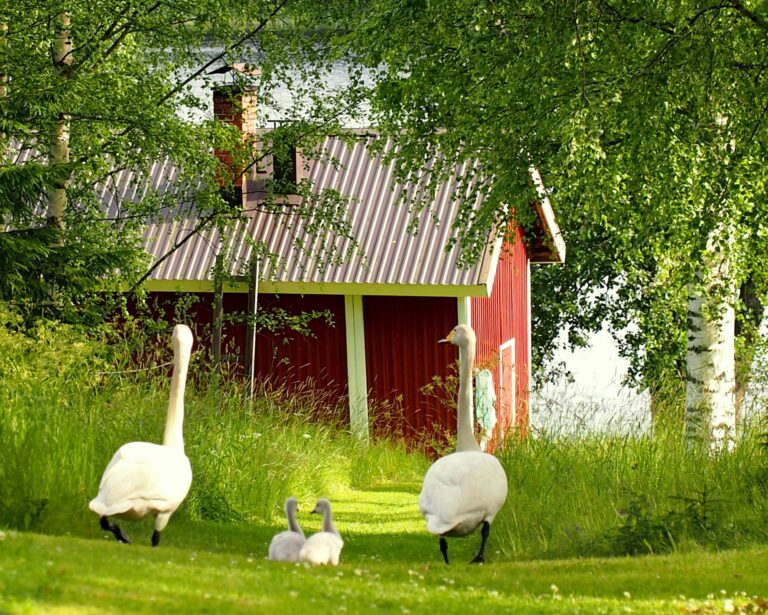 Maatilamatkailu